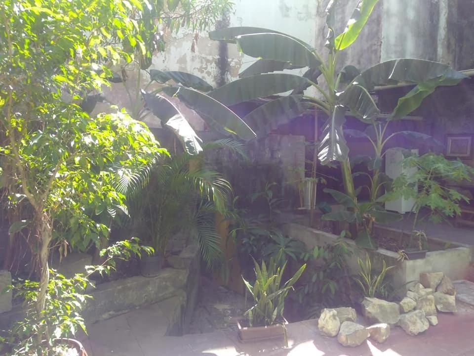 סלבאדור Fusion Guesthouse מראה חיצוני תמונה